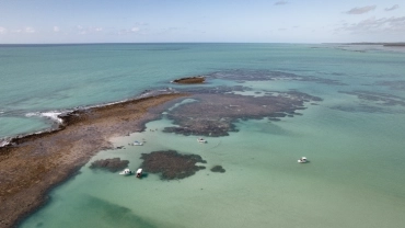Catamar&atilde; Coletivo - Orla Japaratinga